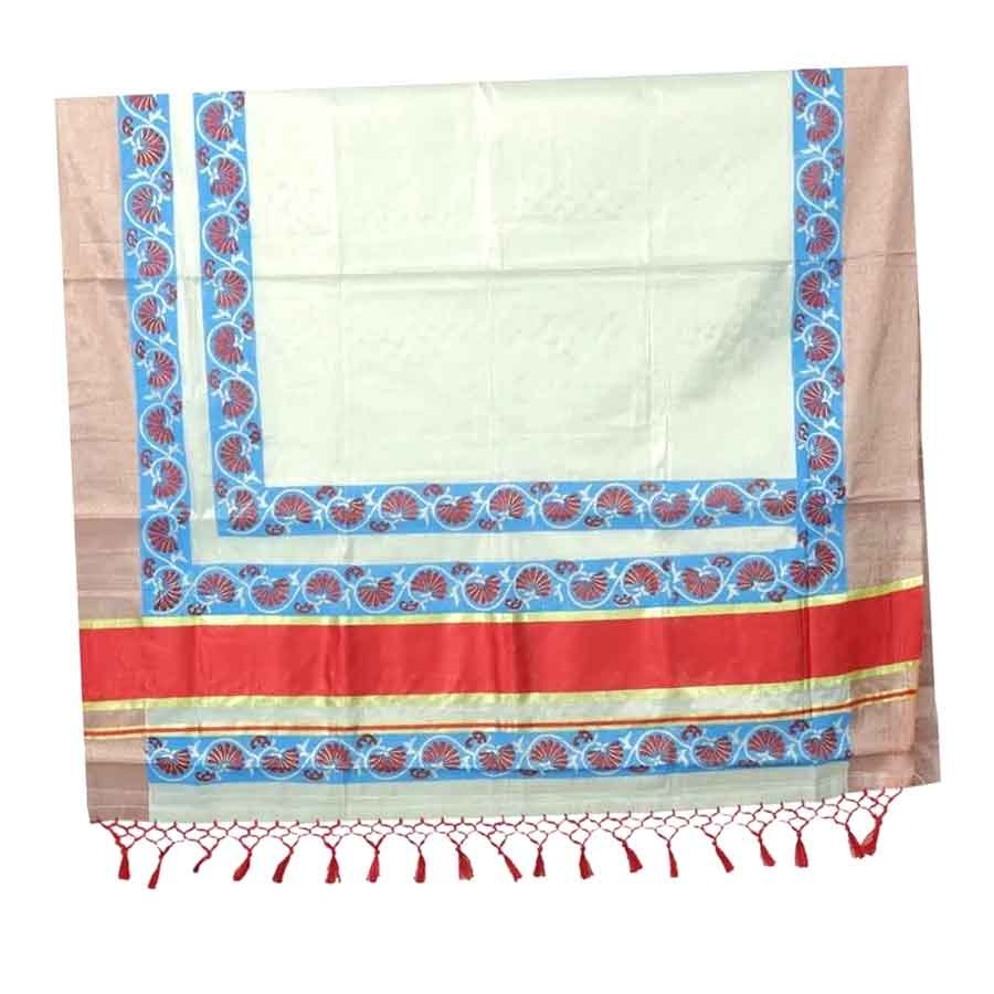 Tissue Saree With Indigo Block Prints
