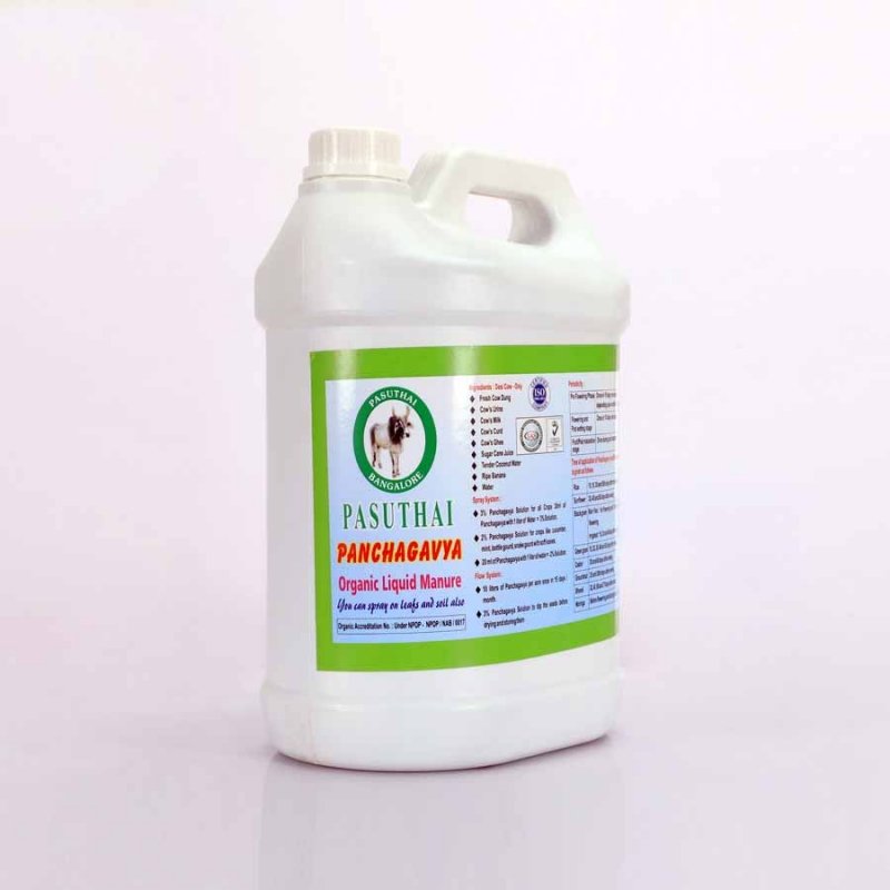 Pasuthai Bangalore Panchagavya Organic Fertilizer 5 Litres  Indias 1st ISO 9001  2015 Certified Brand Fertilizer 5 L Liquid
