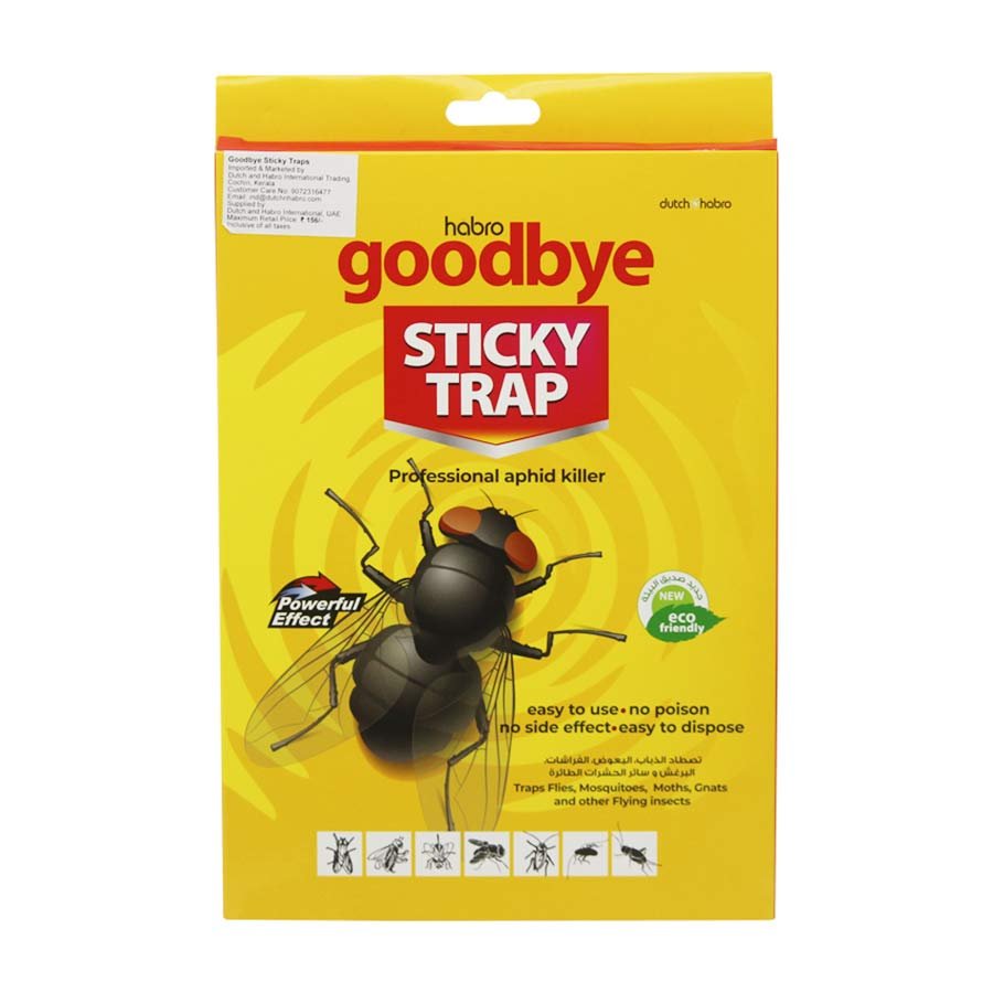 Sticky Fly Traps (5 Pieces)